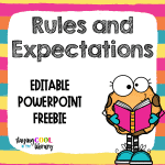 Reviewing Library Rules and Procedures Editable PowerPoint - FREEBIE