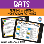 Bats Digital Activities for Google Slides