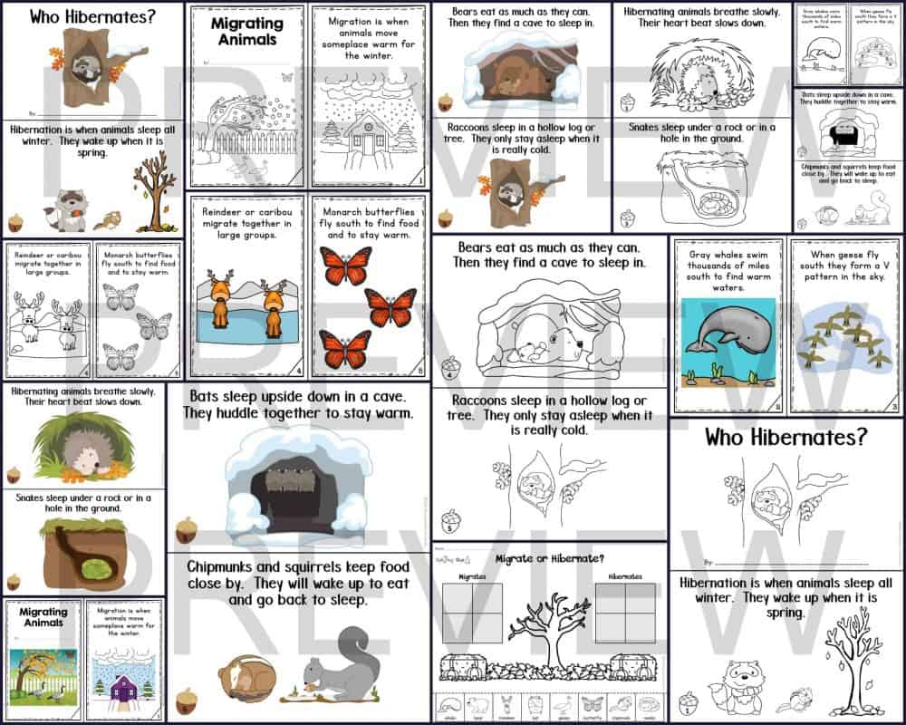 Hibernation and Migration Print and Digital Mini Books - Image 5