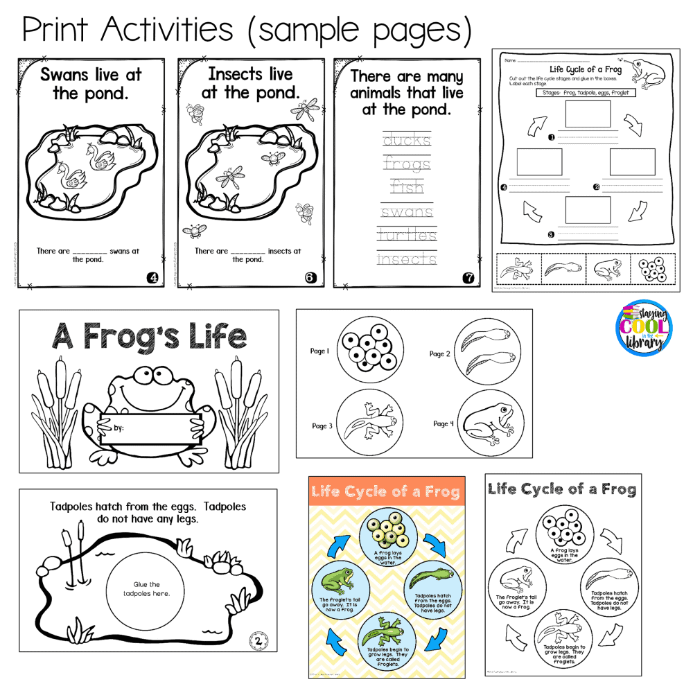 Pond Animals - Frog Life Cycle | Digital and Print Activities - Staying ...