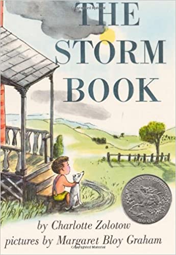 Teach visualization with The Storm Book and help students focus on often unseen details.